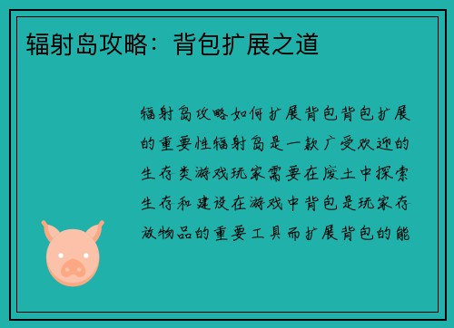辐射岛攻略：背包扩展之道